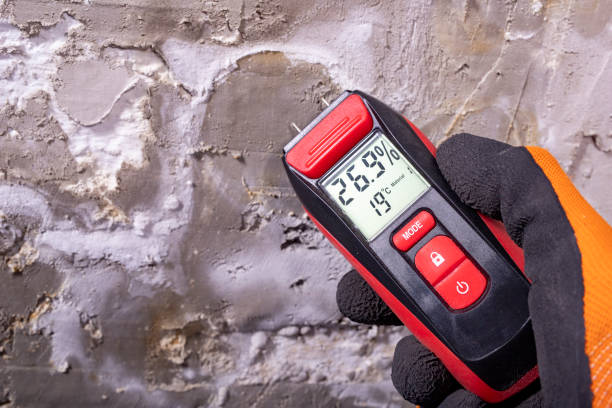 Best Residential Mold Removal  in Prceton, IN