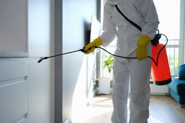 Best Crawl Space Mold Removal  in Prceton, IN